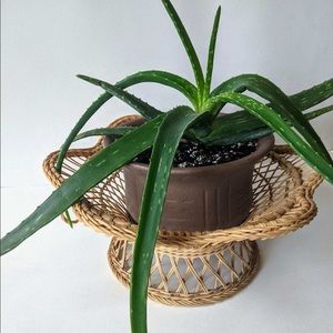 Vintage Boho Roseville Ransbottom Ceramic Planter